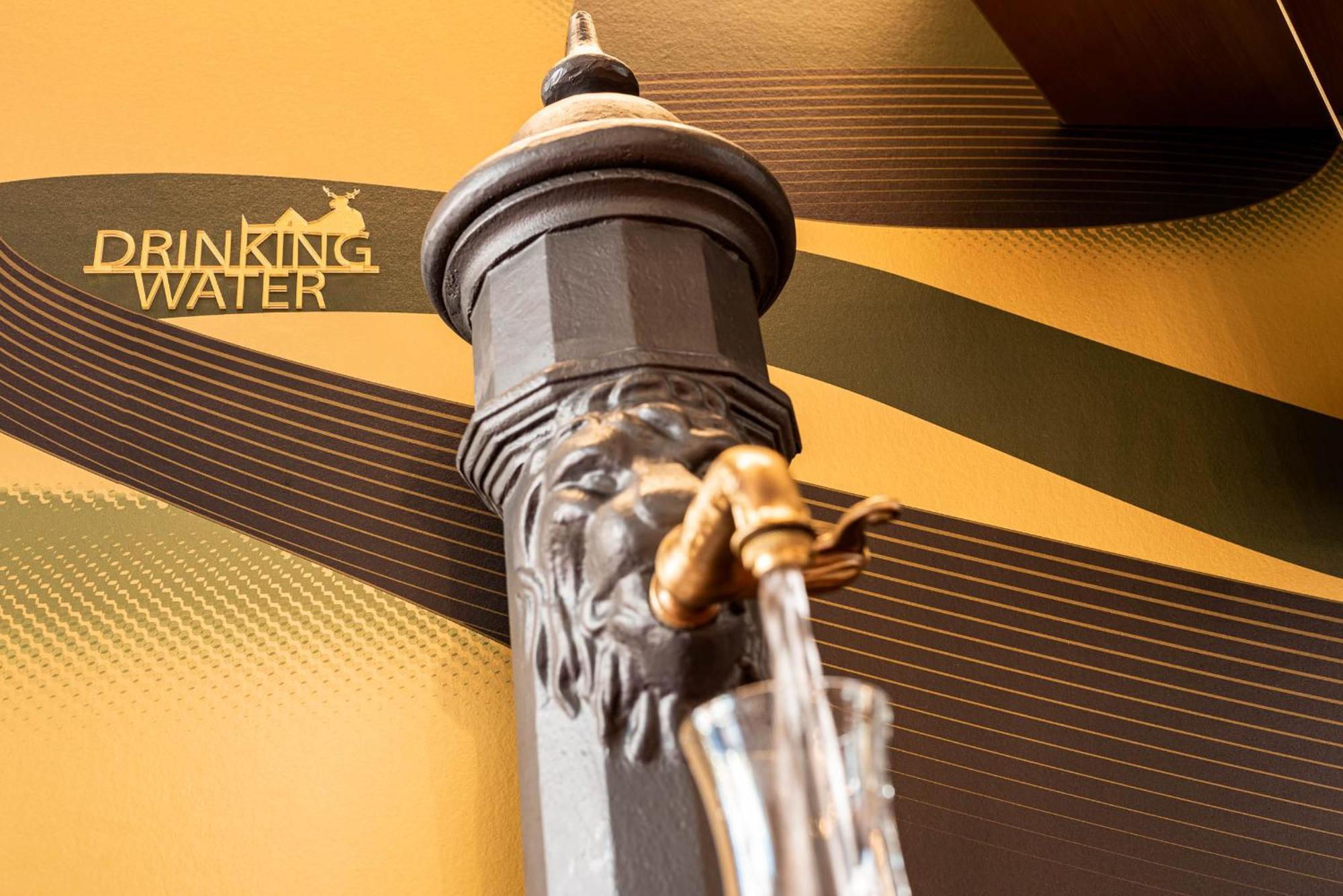 Hirschen Oberkirch - Design Boutique Hotel Dış mekan fotoğraf